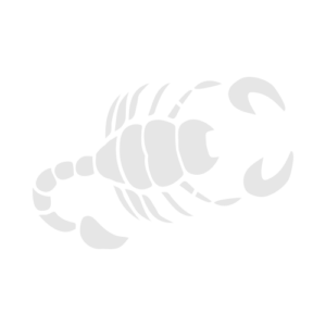 scorpio